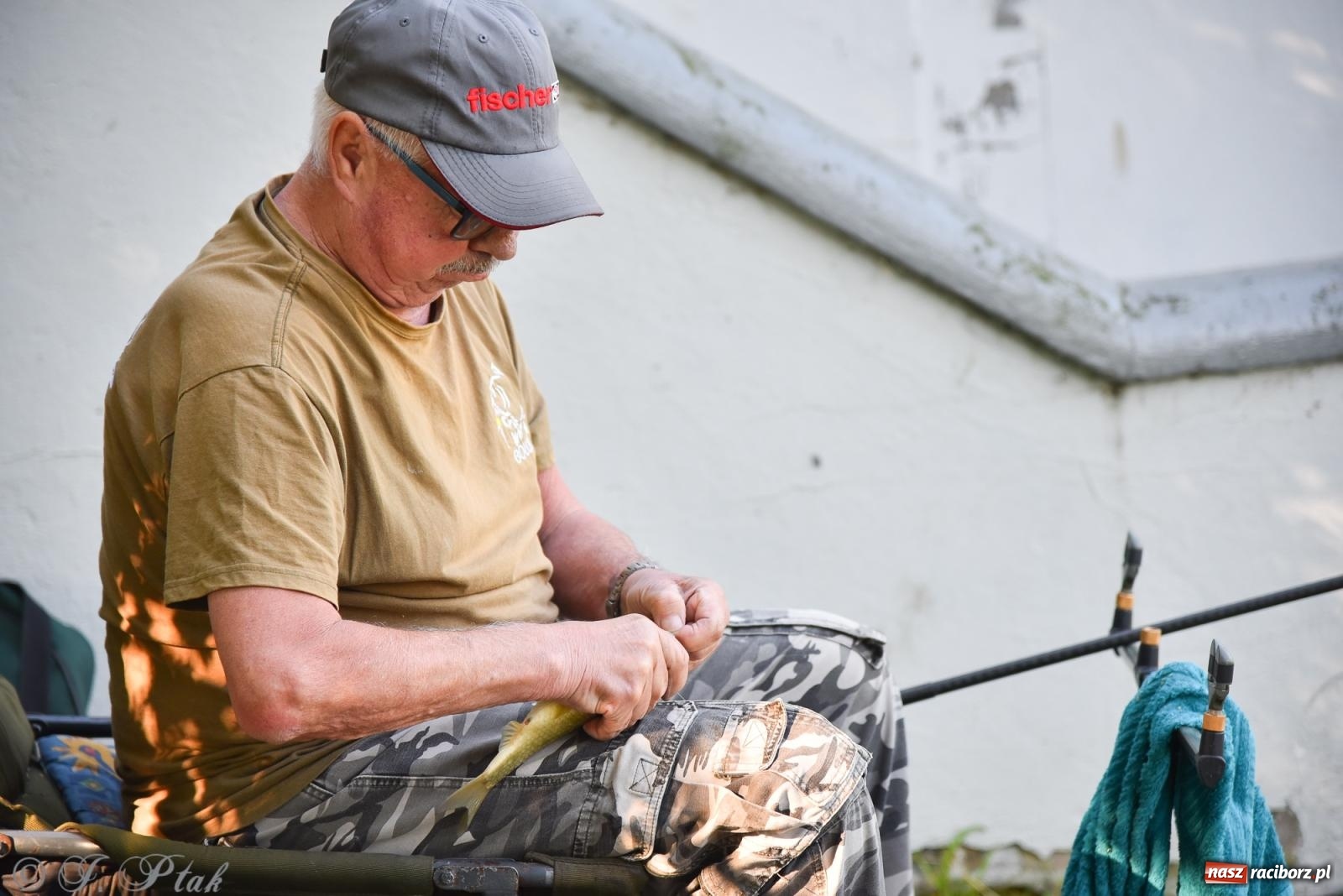 Zdjęcie w galerii na portalu naszraciborz.pl: Aż trudno uwierzyć, gdzie w Raciborzu złowiono tego szczupaka! wiadomości z regionu