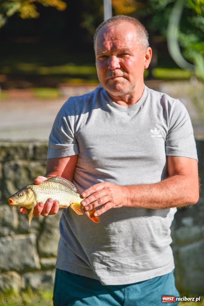 Zdjęcie w galerii na portalu naszraciborz.pl: Aż trudno uwierzyć, gdzie w Raciborzu złowiono tego szczupaka! wiadomości z regionu