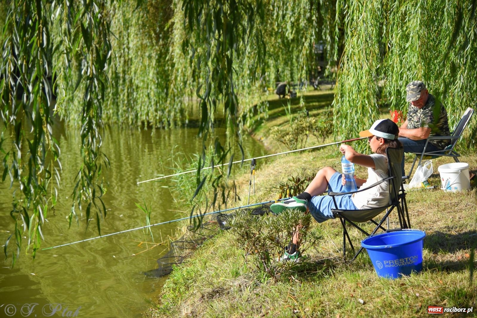 Zdjęcie w galerii na portalu naszraciborz.pl: Aż trudno uwierzyć, gdzie w Raciborzu złowiono tego szczupaka! wiadomości z regionu