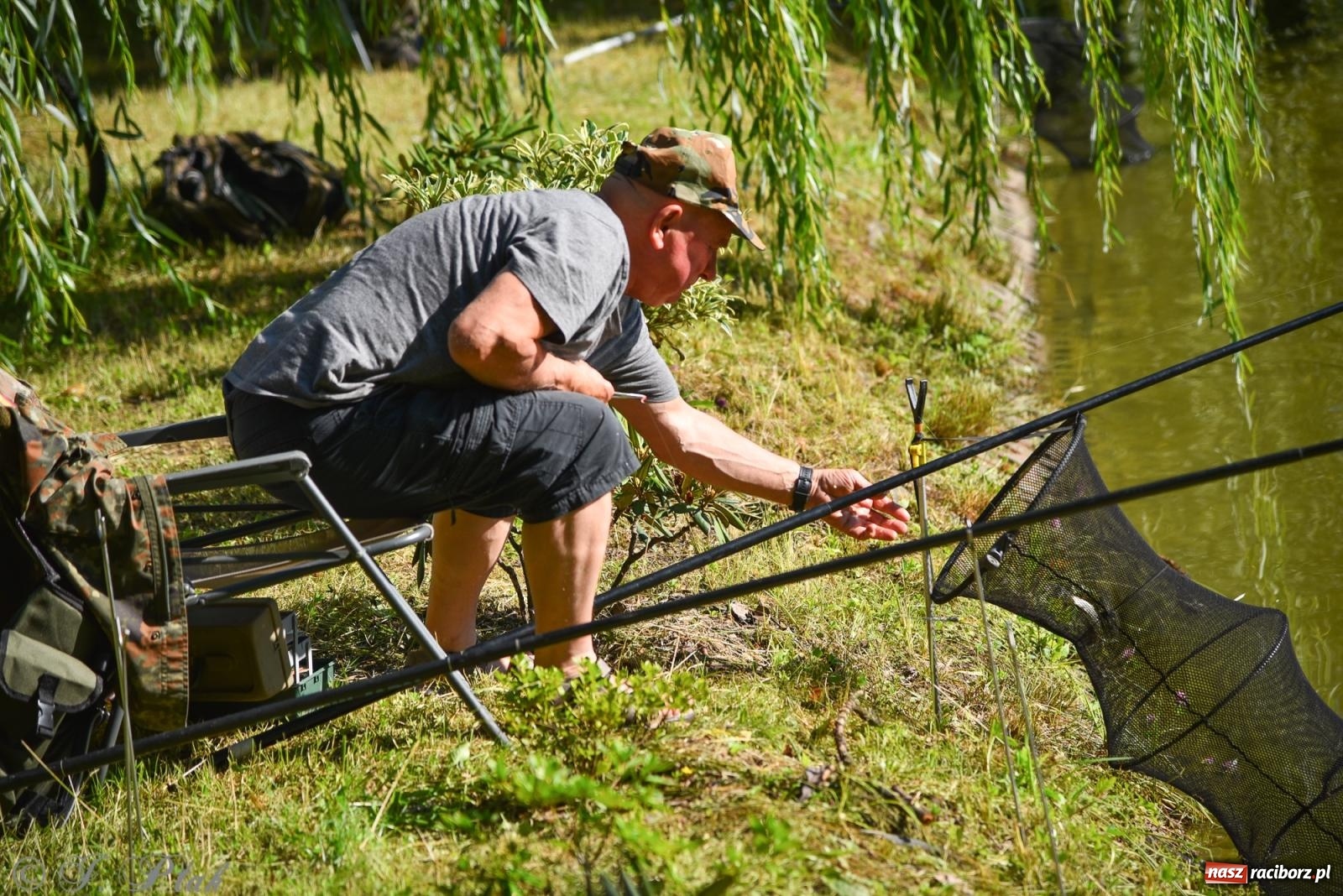 Zdjęcie w galerii na portalu naszraciborz.pl: Aż trudno uwierzyć, gdzie w Raciborzu złowiono tego szczupaka! wiadomości z regionu