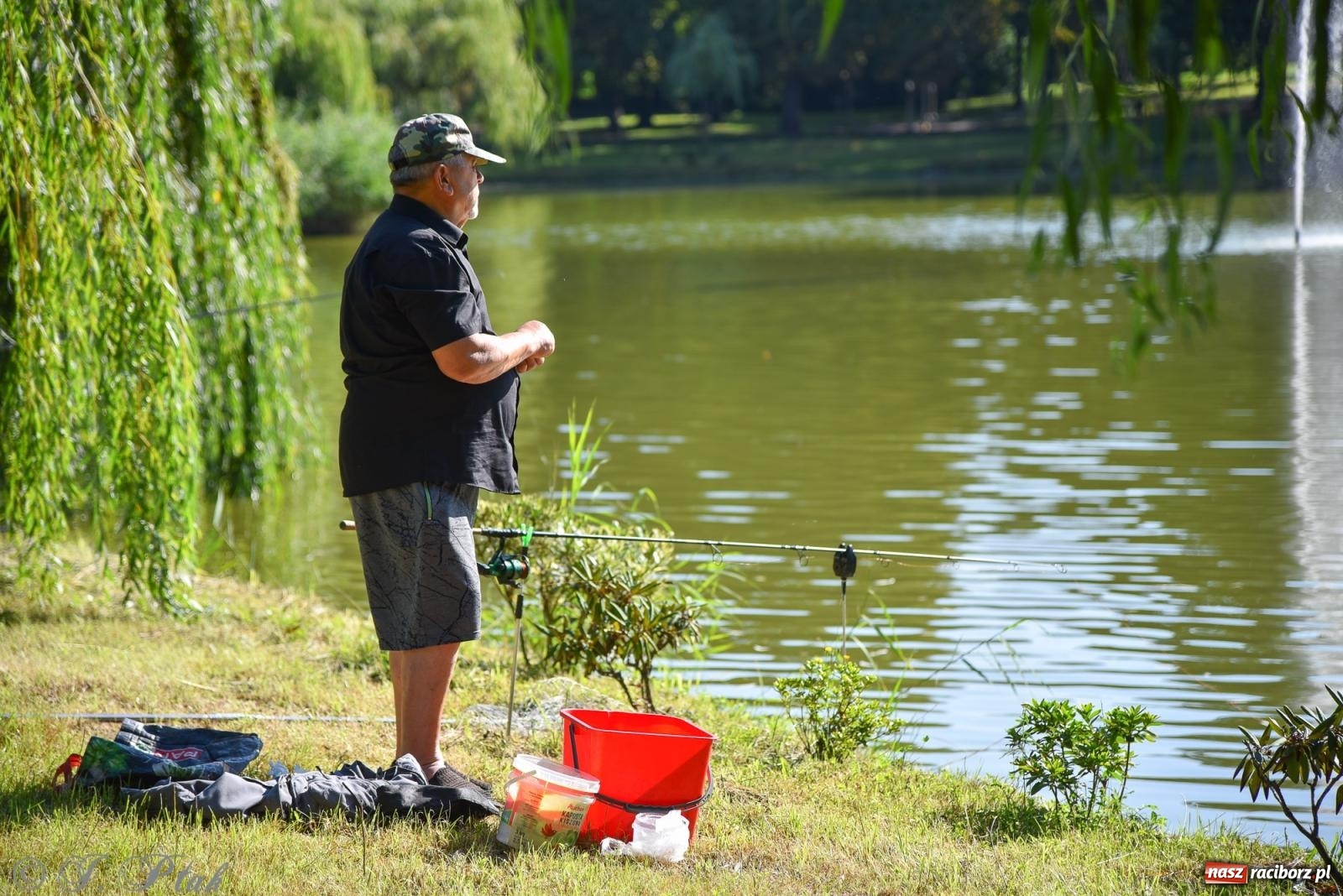 Zdjęcie w galerii na portalu naszraciborz.pl: Aż trudno uwierzyć, gdzie w Raciborzu złowiono tego szczupaka! wiadomości z regionu