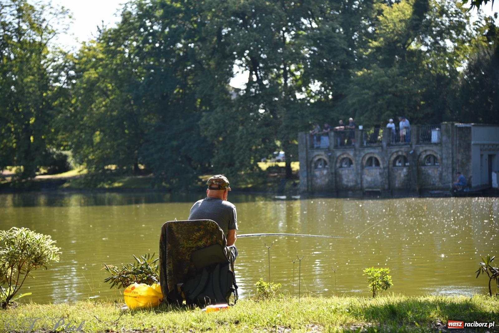 Zdjęcie w galerii na portalu naszraciborz.pl: Aż trudno uwierzyć, gdzie w Raciborzu złowiono tego szczupaka! wiadomości z regionu