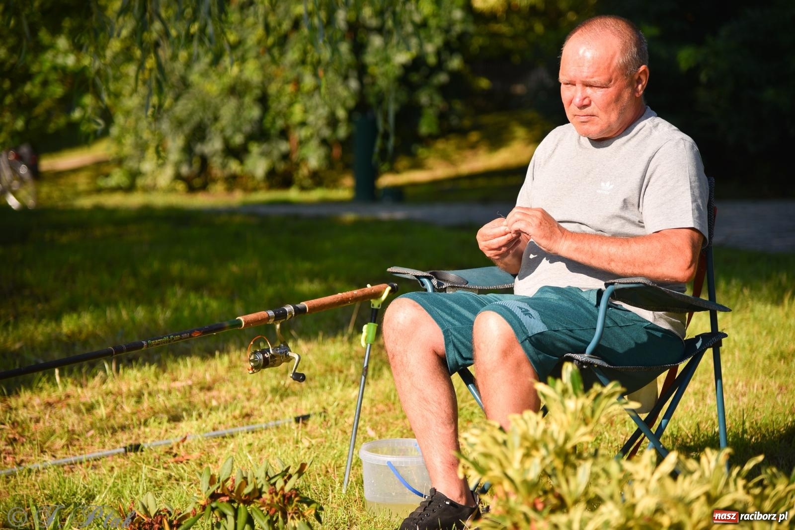 Zdjęcie w galerii na portalu naszraciborz.pl: Aż trudno uwierzyć, gdzie w Raciborzu złowiono tego szczupaka! wiadomości z regionu