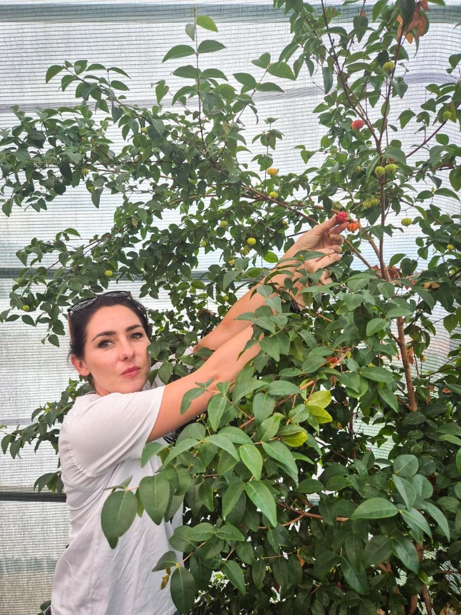 Zdjęcie w galerii na portalu naszraciborz.pl: Z Raciborza na Maderę – nauczycielki CKZiU nr 1 zdobywają nowe umiejętności na europejskich ścieżkach edukacji wiadomości z regionu