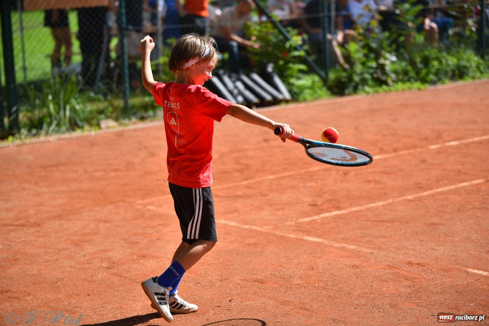 Zdjęcie w galerii na portalu naszraciborz.pl: Młodzi tenisiści walczyli o puchar lata. Finał Summer Kids Cup 2025 w Raciborzu wiadomości z regionu
