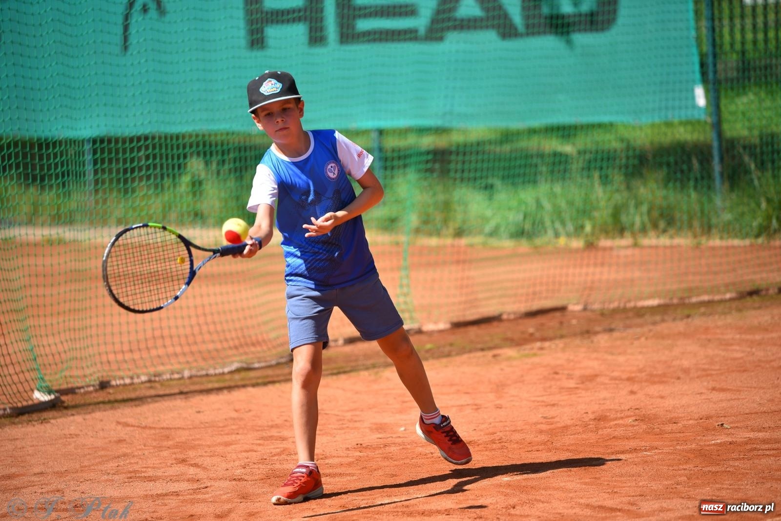 Zdjęcie w galerii na portalu naszraciborz.pl: Młodzi tenisiści walczyli o puchar lata. Finał Summer Kids Cup 2025 w Raciborzu wiadomości z regionu