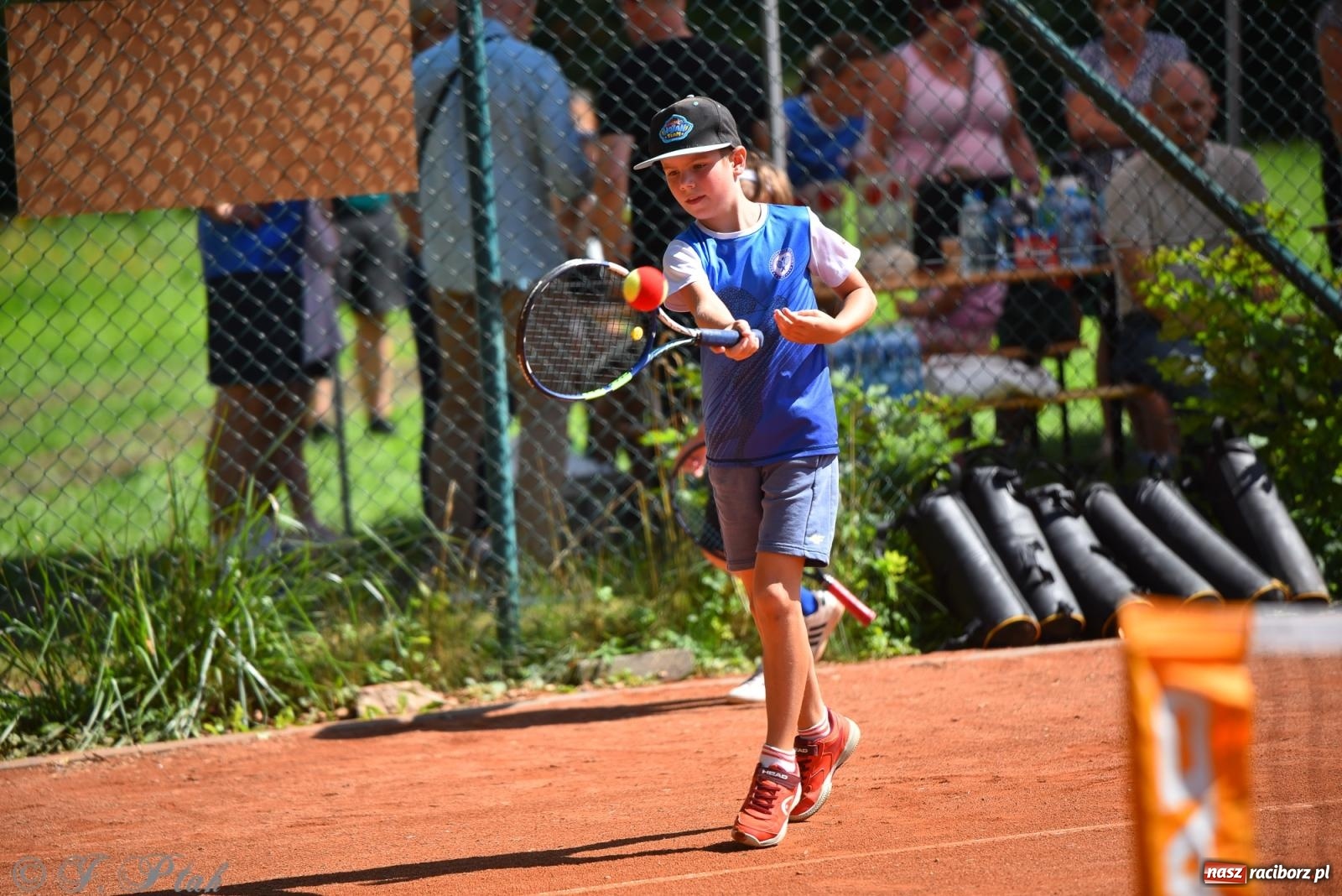 Zdjęcie w galerii na portalu naszraciborz.pl: Młodzi tenisiści walczyli o puchar lata. Finał Summer Kids Cup 2025 w Raciborzu wiadomości z regionu