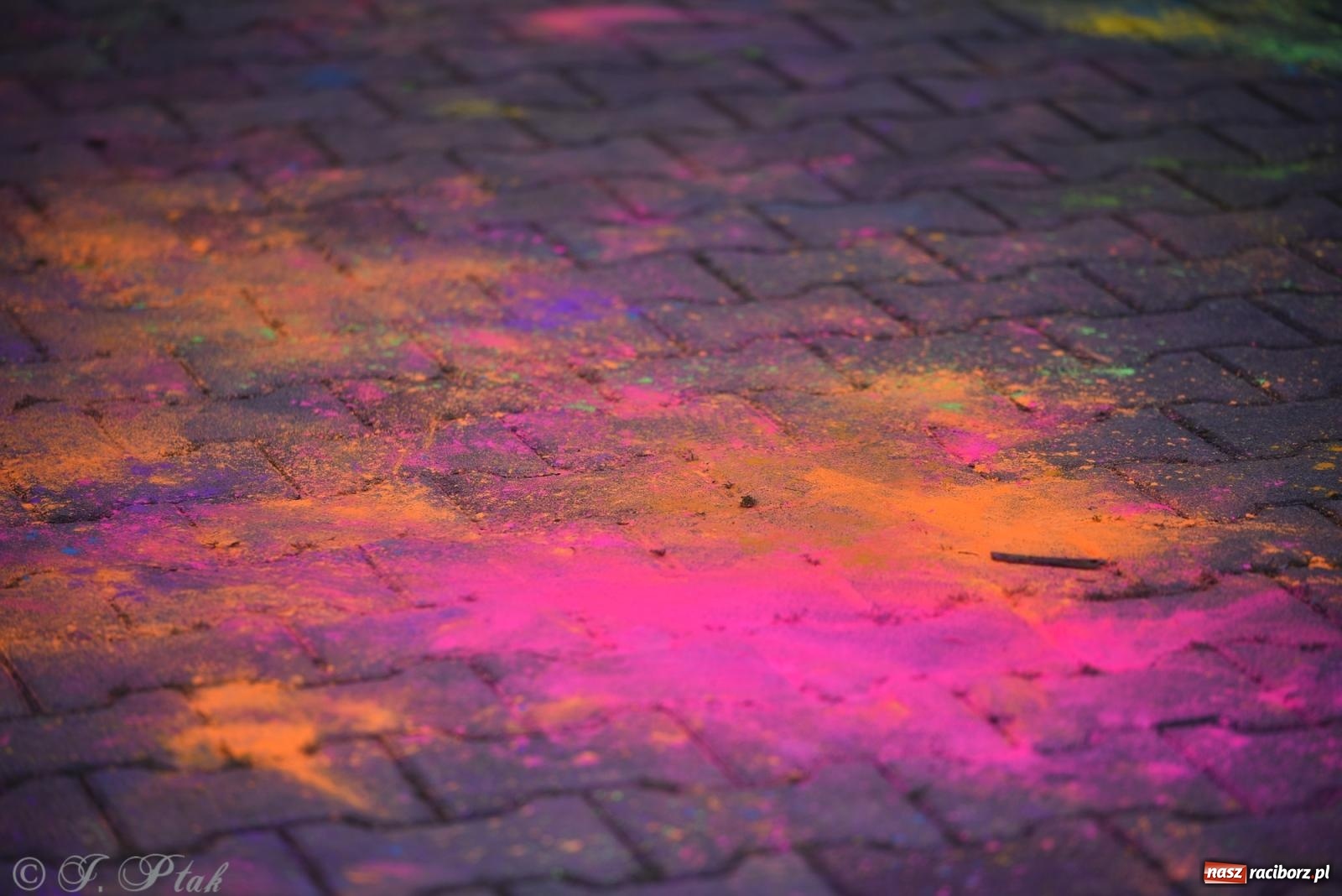 Zdjęcie w galerii na portalu naszraciborz.pl: Kolorowa fala radości w Pietrowicach Wielkich! Tłumy rodzin, muzyka i proszek holi – a to jeszcze nie koniec zabawy! wiadomości z regionu