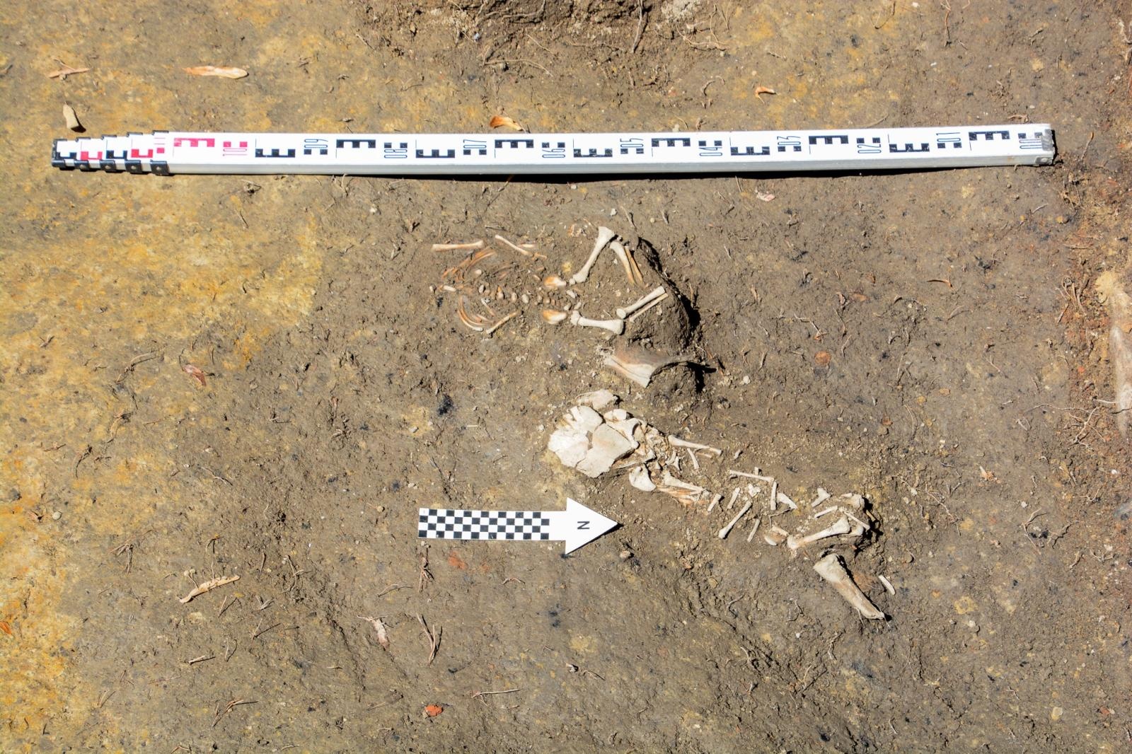 Zdjęcie w galerii na portalu naszraciborz.pl: Szczątki noworodków odkryto przy ul. Gimnazjalnej [FOTO i WIDEO] wiadomości z regionu