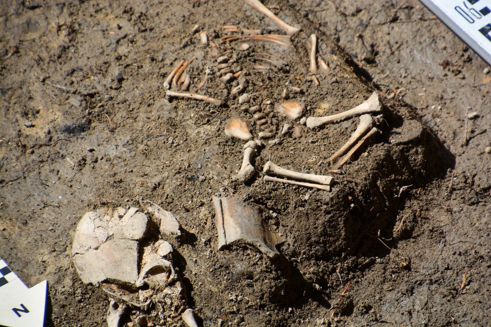 Zdjęcie w galerii na portalu naszraciborz.pl: Szczątki noworodków odkryto przy ul. Gimnazjalnej [FOTO i WIDEO] wiadomości z regionu