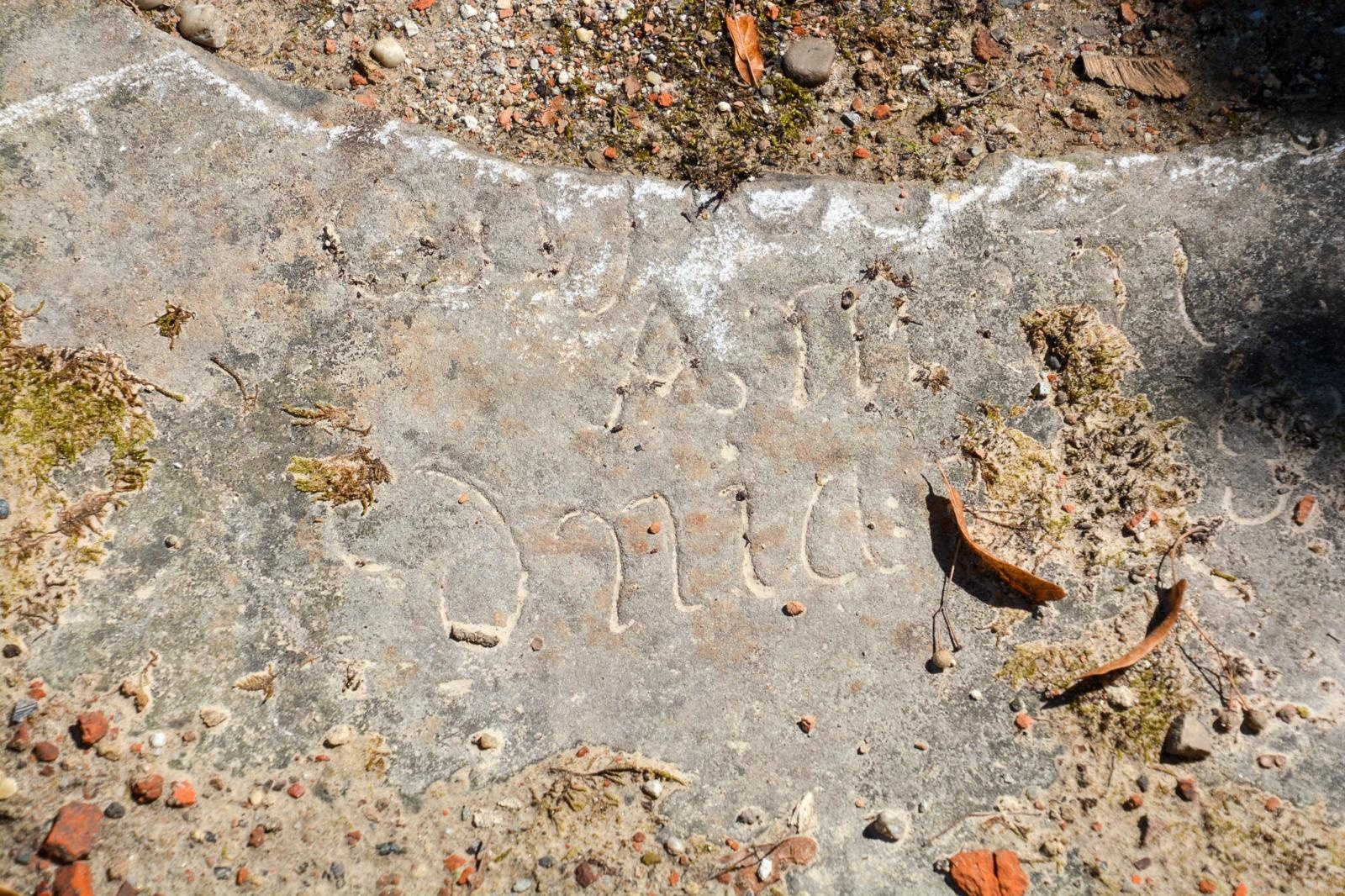 Zdjęcie w galerii na portalu naszraciborz.pl: Szczątki noworodków odkryto przy ul. Gimnazjalnej [FOTO i WIDEO] wiadomości z regionu