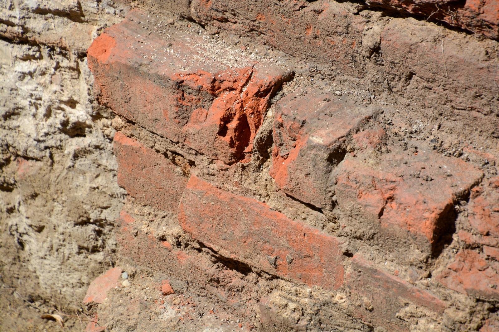 Zdjęcie w galerii na portalu naszraciborz.pl: Szczątki noworodków odkryto przy ul. Gimnazjalnej [FOTO i WIDEO] wiadomości z regionu