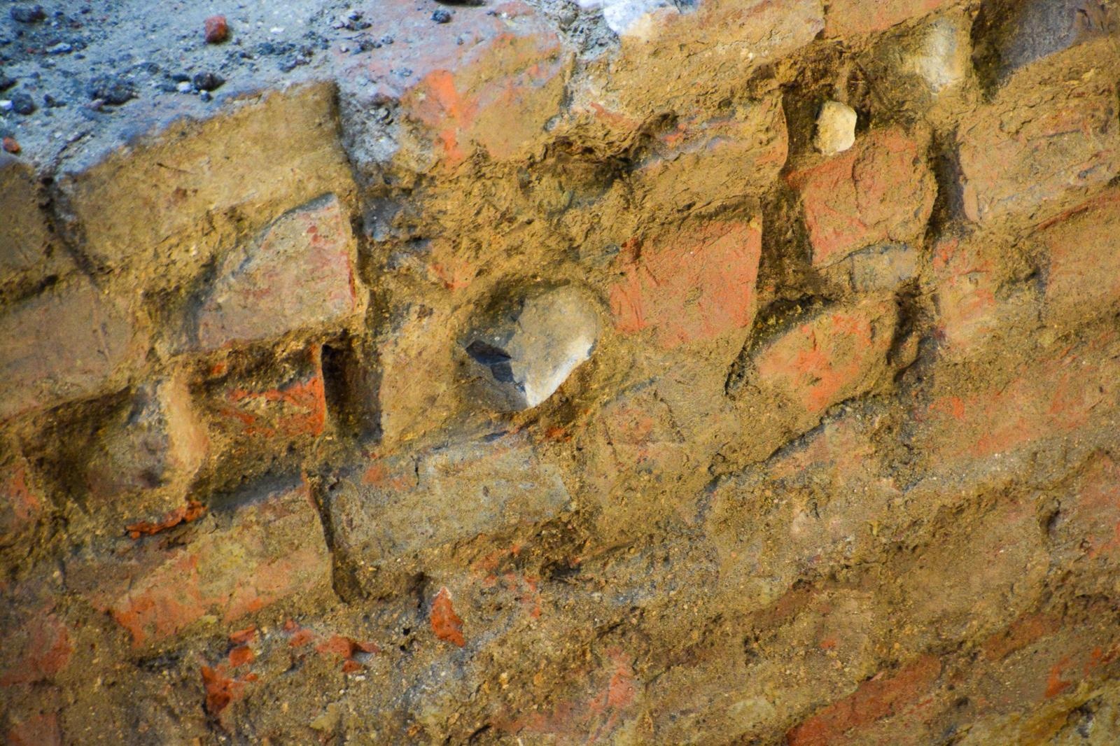 Zdjęcie w galerii na portalu naszraciborz.pl: Szczątki noworodków odkryto przy ul. Gimnazjalnej [FOTO i WIDEO] wiadomości z regionu