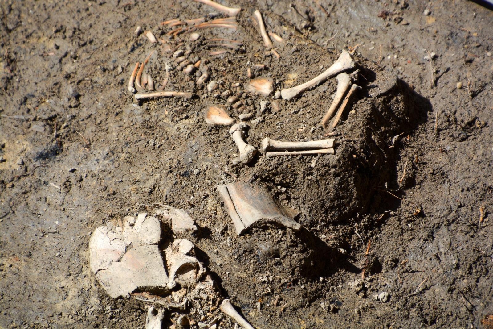 Zdjęcie w galerii na portalu naszraciborz.pl: Szczątki noworodków odkryto przy ul. Gimnazjalnej [FOTO i WIDEO] wiadomości z regionu