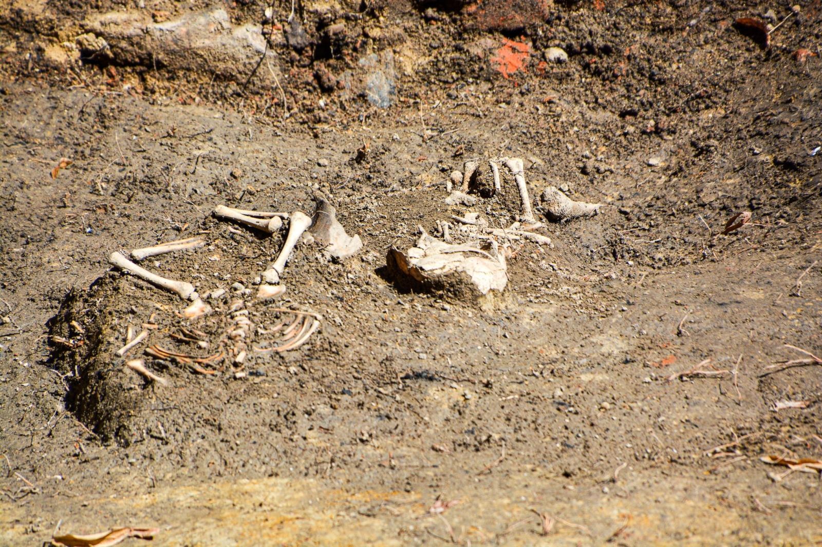 Zdjęcie w galerii na portalu naszraciborz.pl: Szczątki noworodków odkryto przy ul. Gimnazjalnej [FOTO i WIDEO] wiadomości z regionu