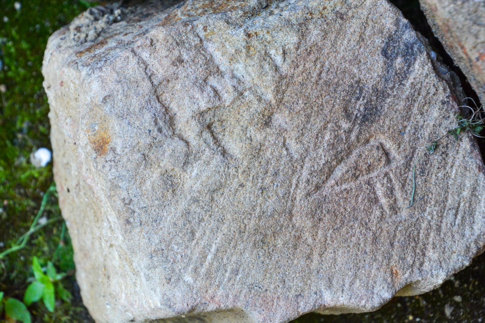 Zdjęcie w galerii na portalu naszraciborz.pl: Szczątki noworodków odkryto przy ul. Gimnazjalnej [FOTO i WIDEO] wiadomości z regionu