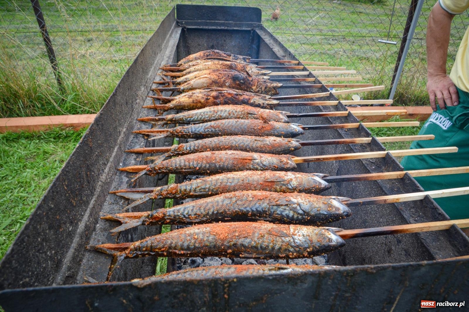 Zdjęcie w galerii na portalu naszraciborz.pl: Mateusz Ziółko i setki gości na trzecim festynie parafialnym w Brzeziu [FOTO i WIDEO] wiadomości z regionu