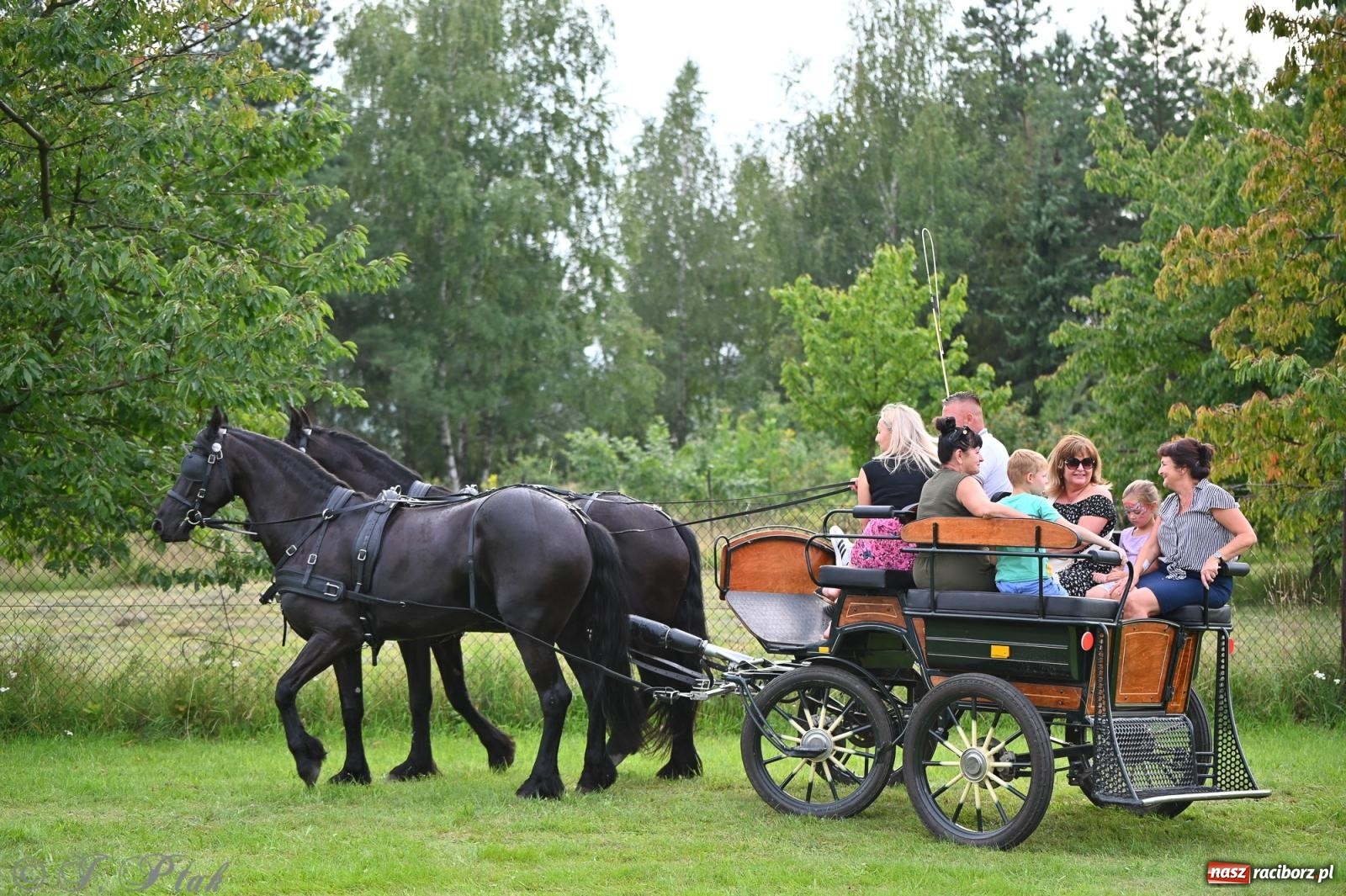 Zdjęcie w galerii na portalu naszraciborz.pl: Trzeci festyn parafialny w Raciborzu-Brzeziu – rodzinne święto z udziałem gości z całego województwa - relacja na bis! wiadomości z regionu