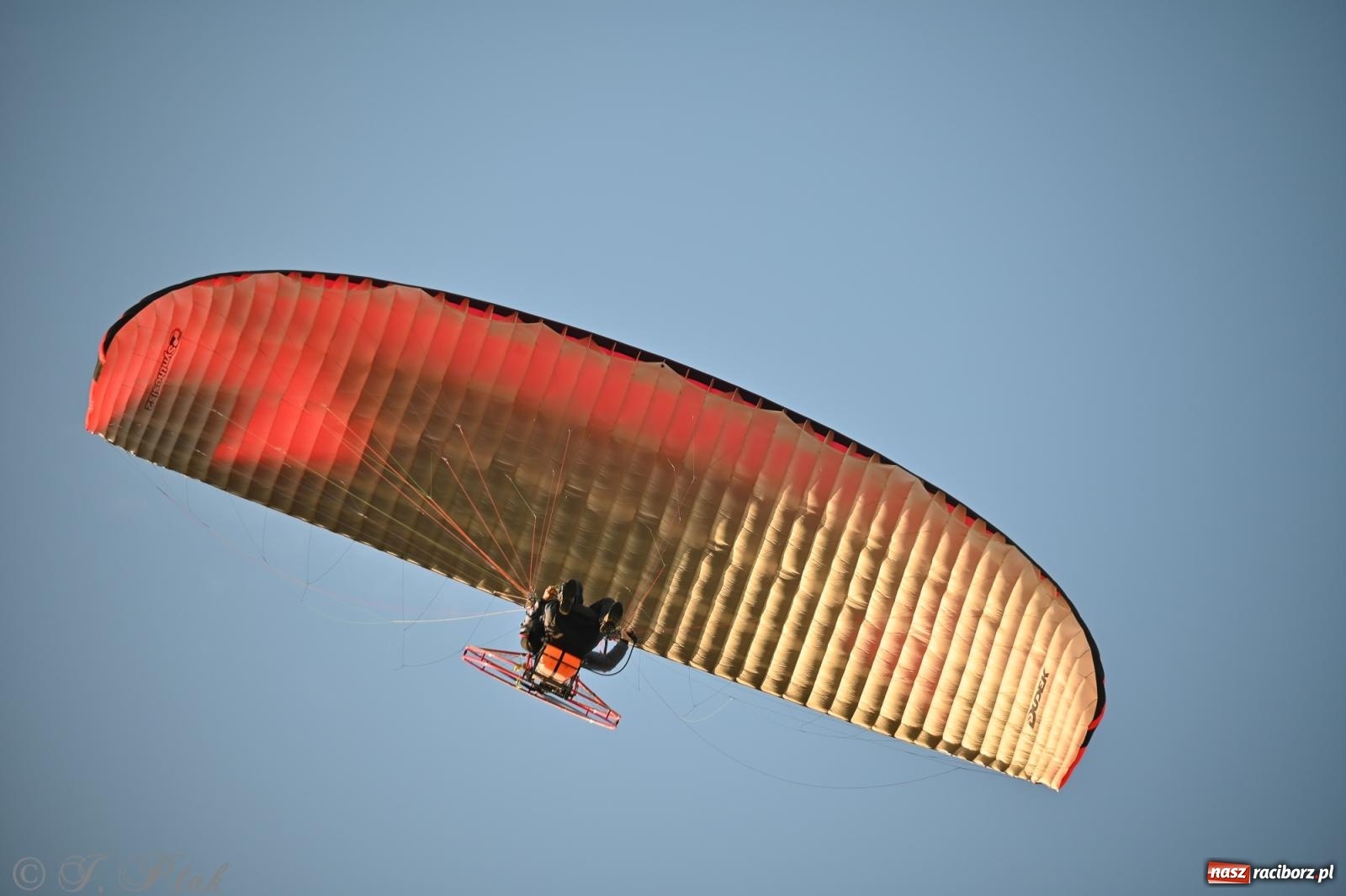 Zdjęcie w galerii na portalu naszraciborz.pl: Trzeci festyn parafialny w Raciborzu-Brzeziu – rodzinne święto z udziałem gości z całego województwa - relacja na bis! wiadomości z regionu