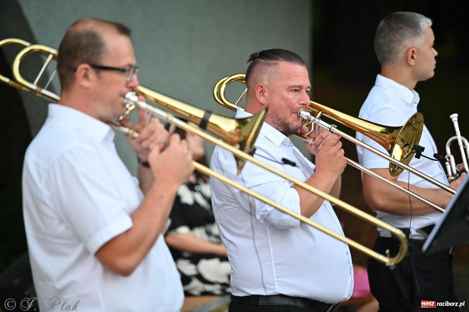 Zdjęcie w galerii na portalu naszraciborz.pl: Muzyczna uczta w Parku Roth – Raciborska Orkiestra Dęta Plania zaprezentowała najpiękniejsze covery wiadomości z regionu