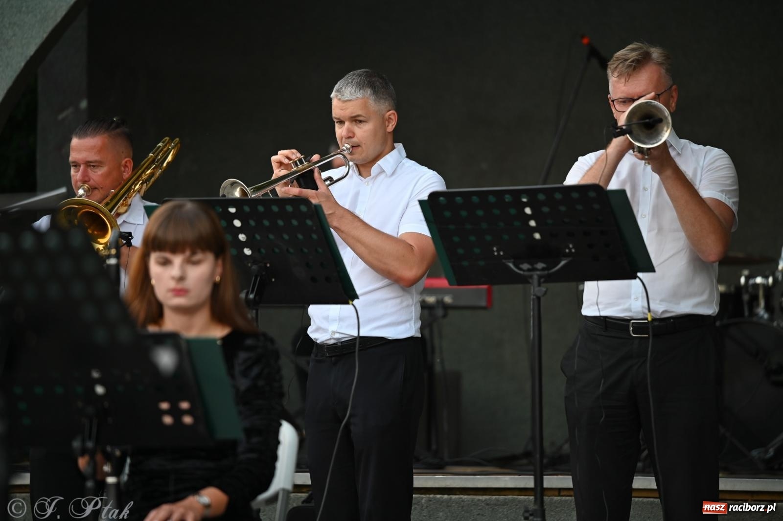 Zdjęcie w galerii na portalu naszraciborz.pl: Muzyczna uczta w Parku Roth – Raciborska Orkiestra Dęta Plania zaprezentowała najpiękniejsze covery wiadomości z regionu