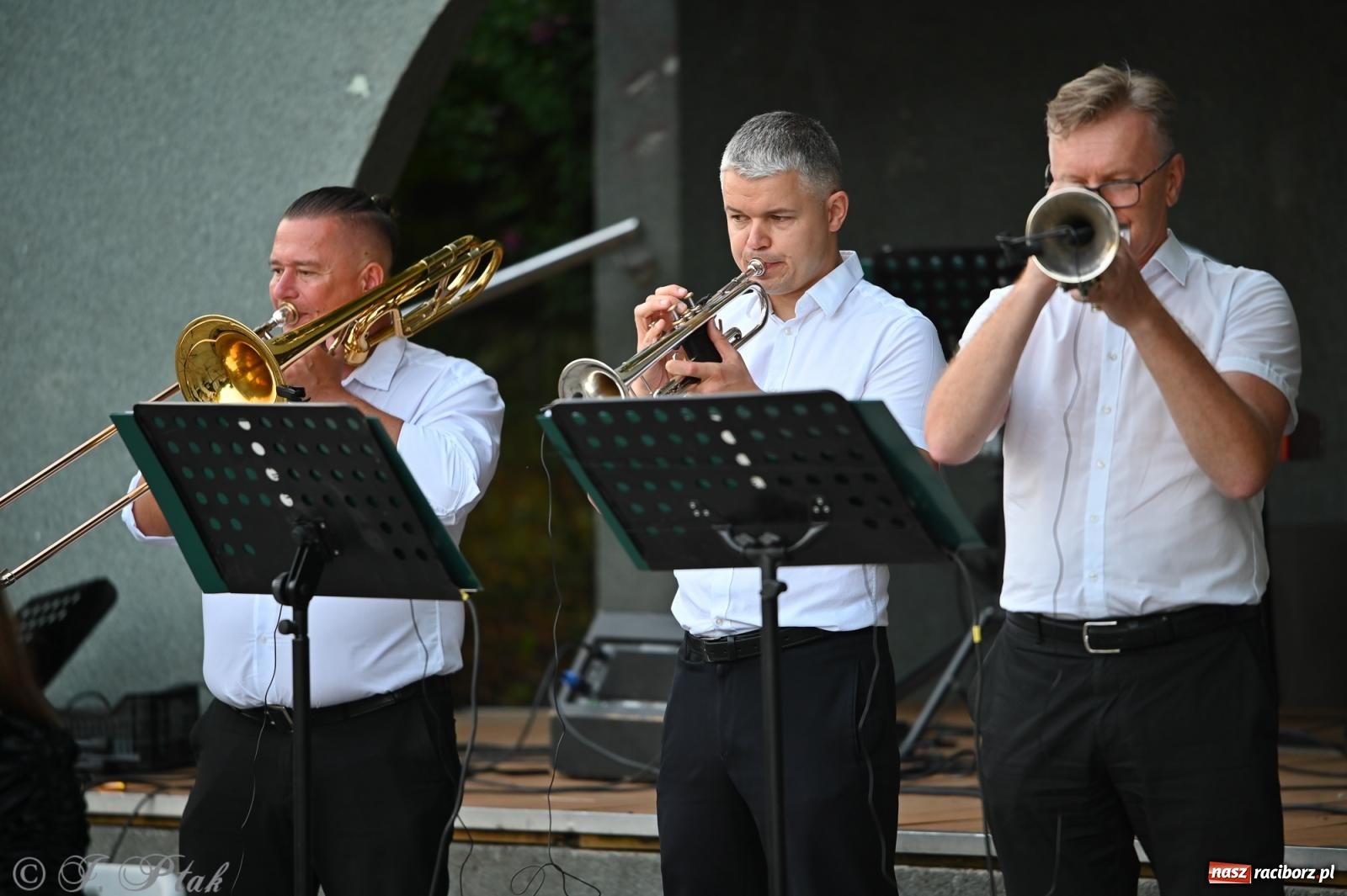 Zdjęcie w galerii na portalu naszraciborz.pl: Muzyczna uczta w Parku Roth – Raciborska Orkiestra Dęta Plania zaprezentowała najpiękniejsze covery wiadomości z regionu