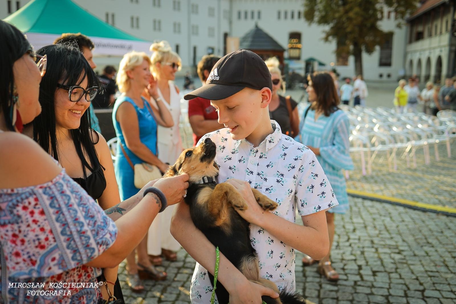 Zdjęcie w galerii na portalu naszraciborz.pl: Muzyczne emocje na bis – jubileuszowy koncert Z miłości do muzyki na Zamku Piastowskim wiadomości z regionu