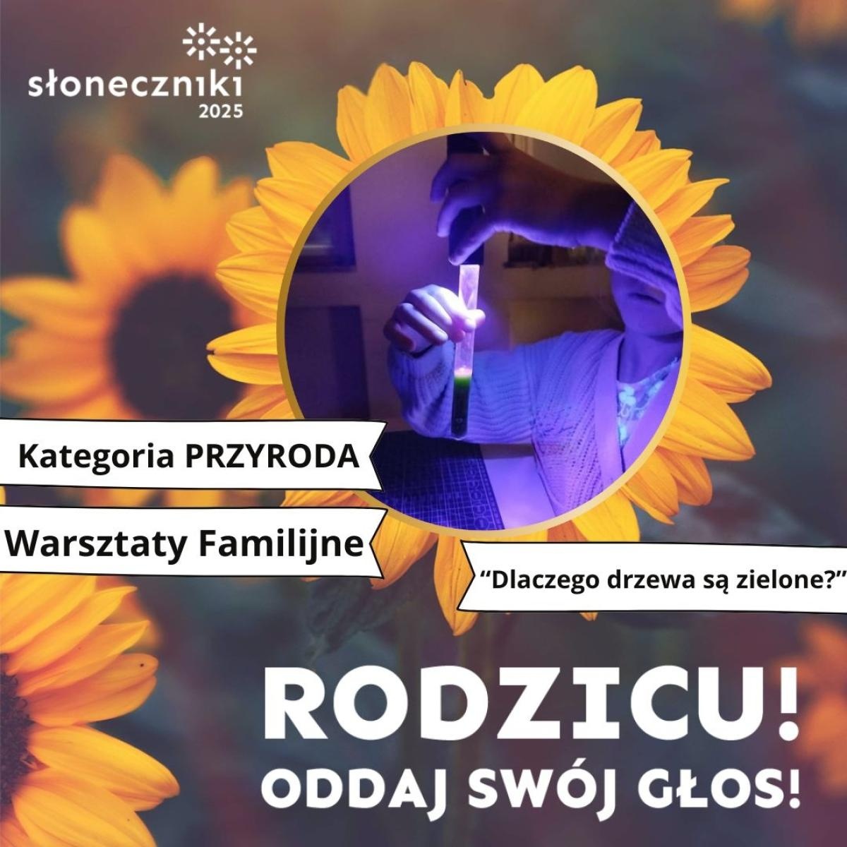 Zdjęcie w galerii na portalu naszraciborz.pl: Strefa Odkrywania Wyobraźni i Aktywności z trzema nominacjami w konkursie Słoneczniki 2025 wiadomości z regionu