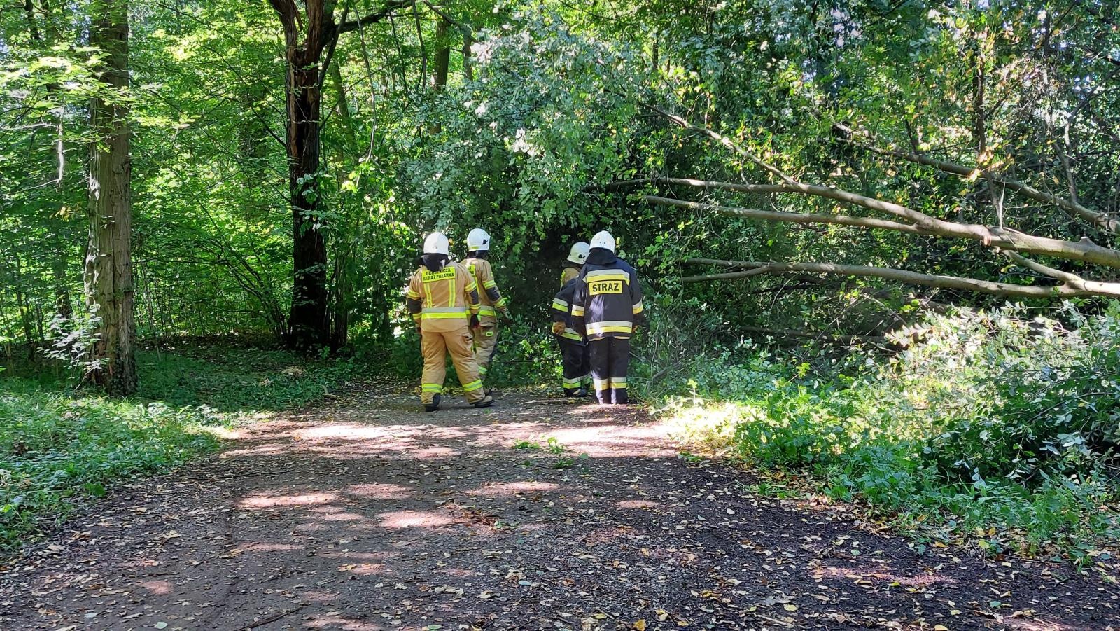 Zdjęcie w galerii na portalu naszraciborz.pl: Pożary maszyn rolniczych i interwencje straży w powiecie raciborskim wiadomości z regionu