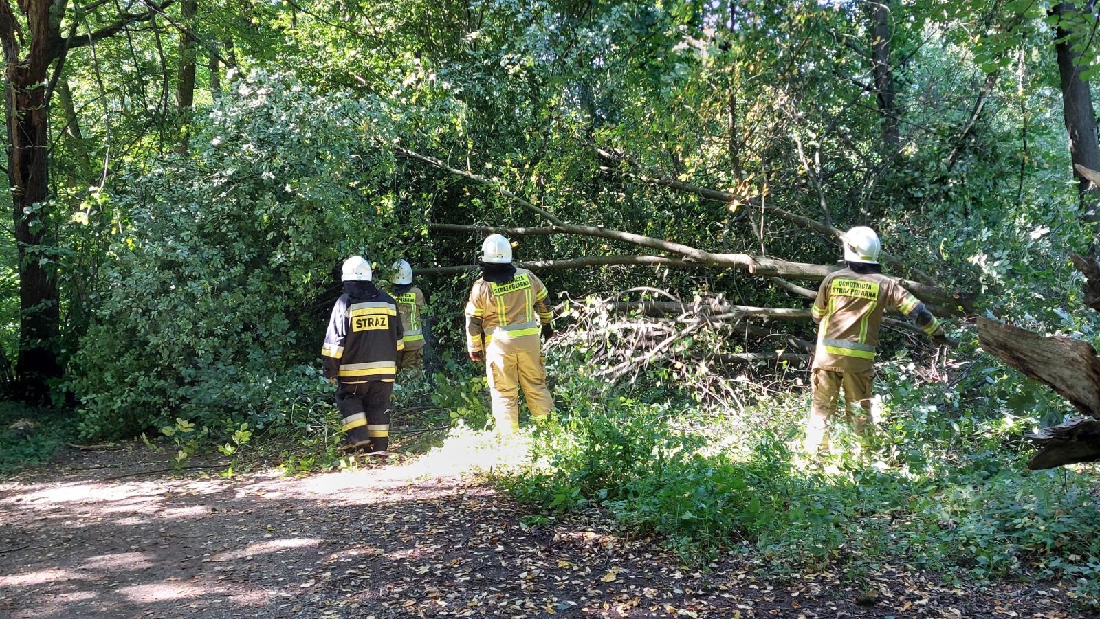 Zdjęcie w galerii na portalu naszraciborz.pl: Pożary maszyn rolniczych i interwencje straży w powiecie raciborskim wiadomości z regionu