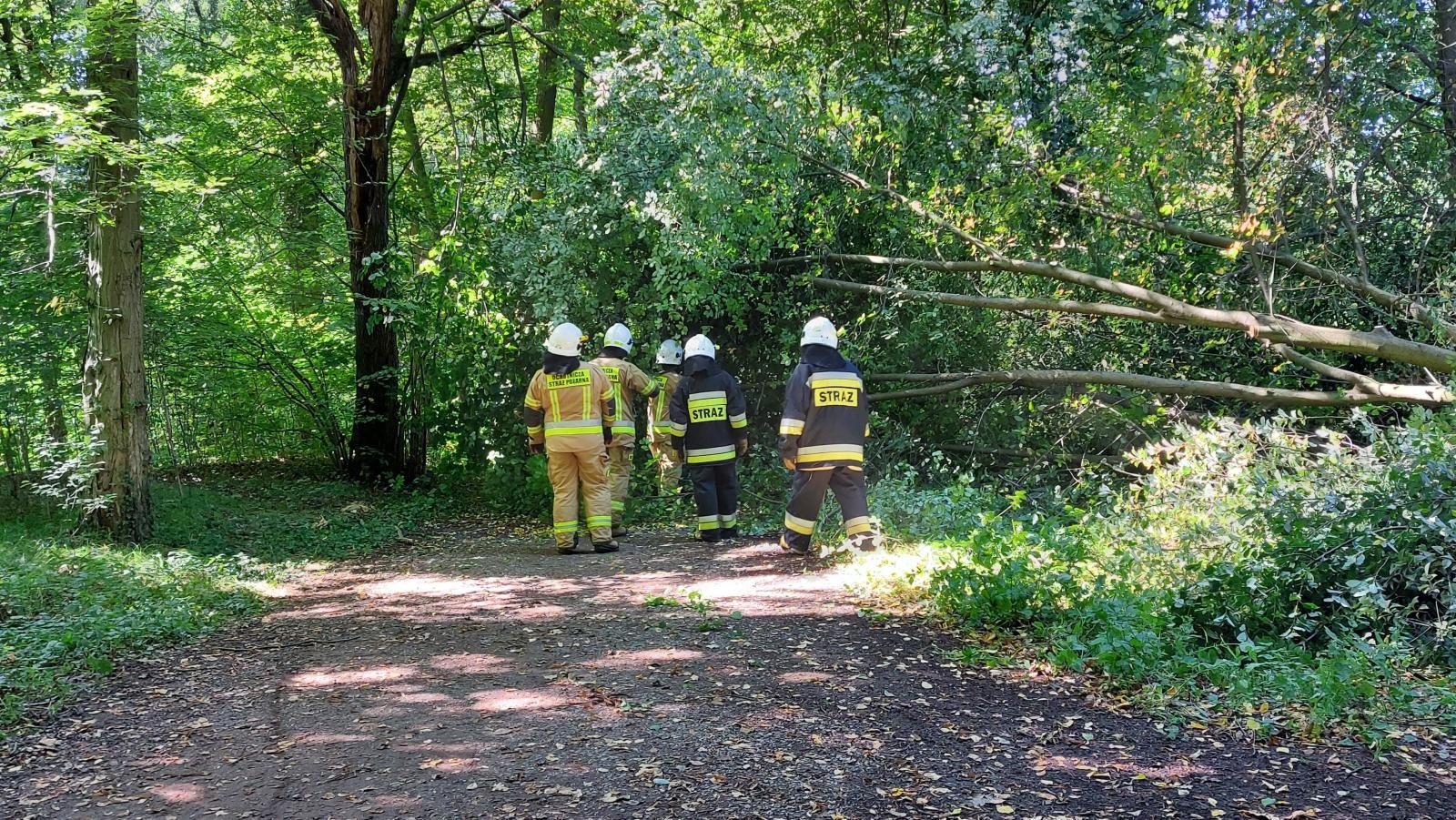 Zdjęcie w galerii na portalu naszraciborz.pl: Pożary maszyn rolniczych i interwencje straży w powiecie raciborskim wiadomości z regionu