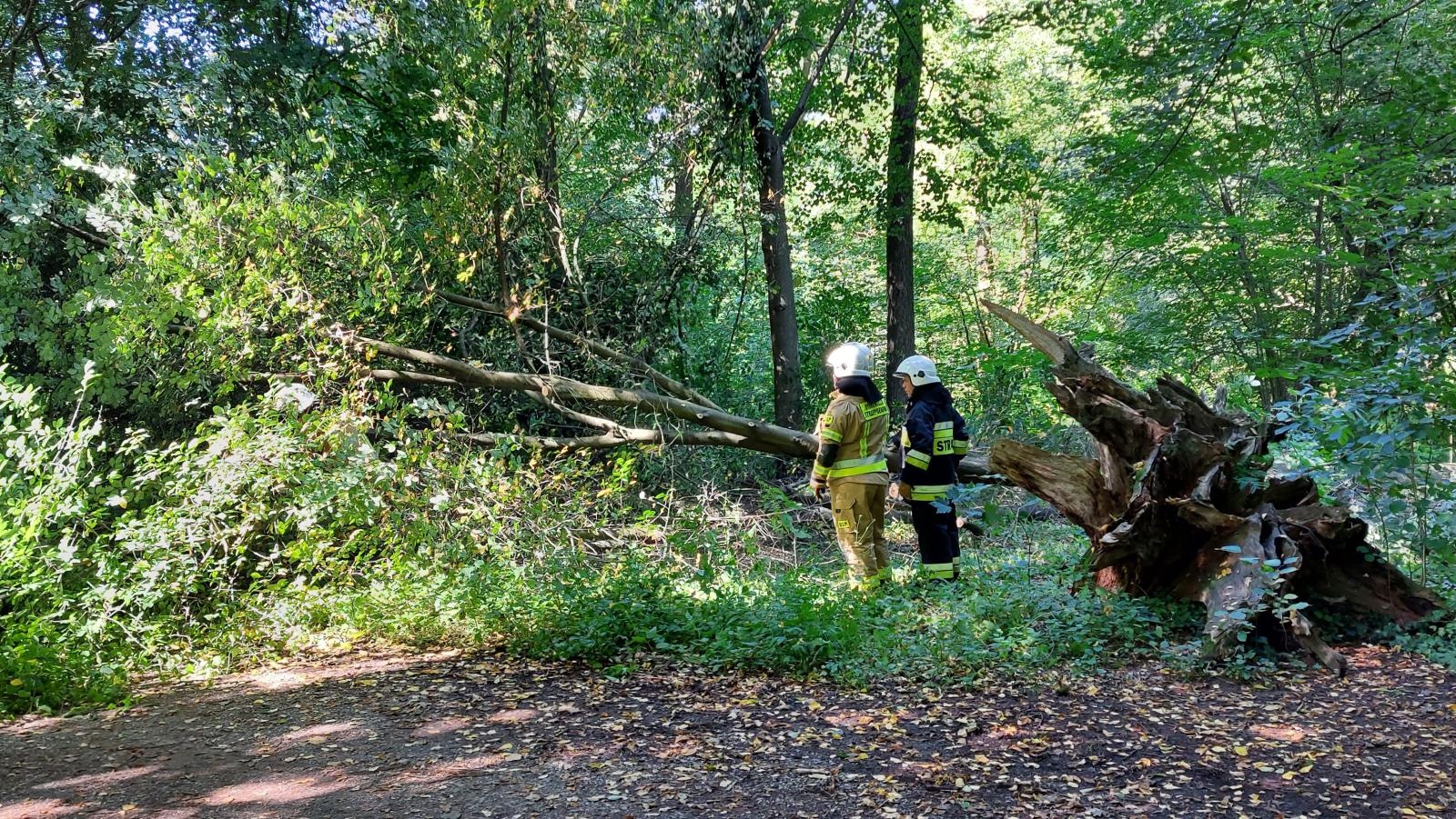 Zdjęcie w galerii na portalu naszraciborz.pl: Pożary maszyn rolniczych i interwencje straży w powiecie raciborskim wiadomości z regionu