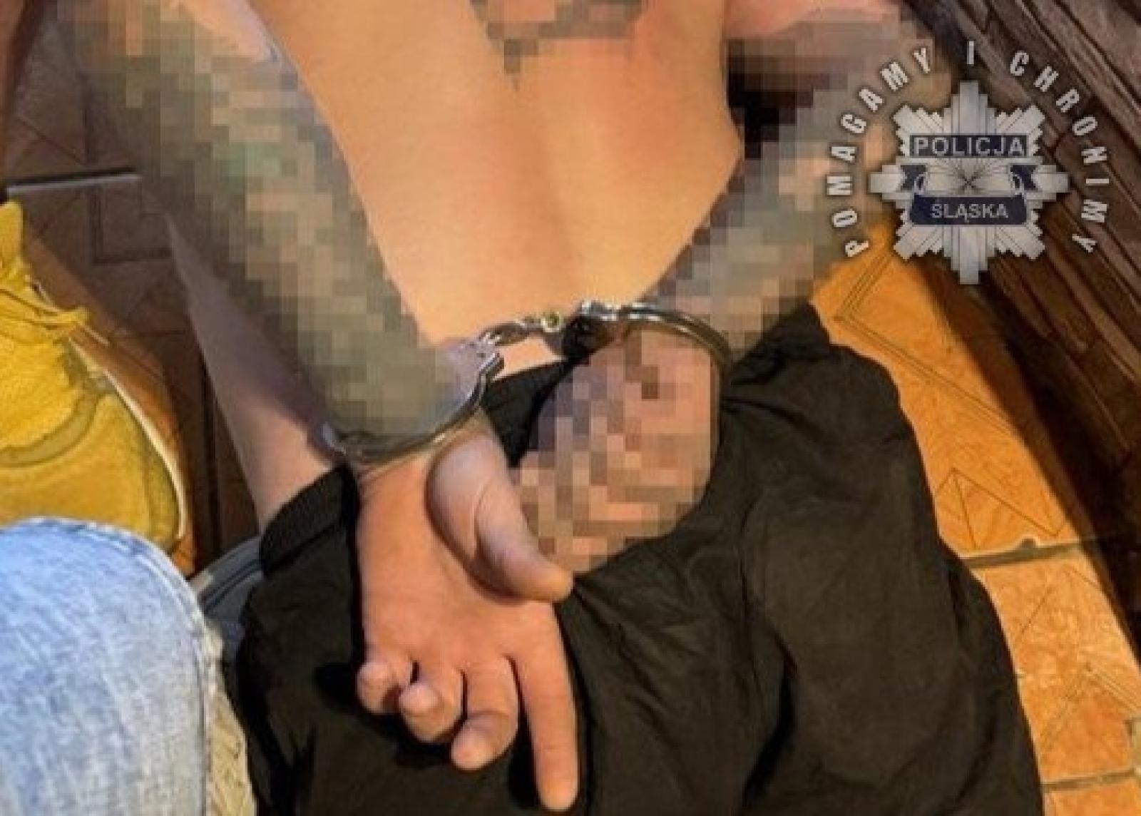 Zdjęcie w galerii na portalu naszraciborz.pl: Śląscy łowcy głów dopadli groźnych przestępców w kraju i za granicą wiadomości z regionu