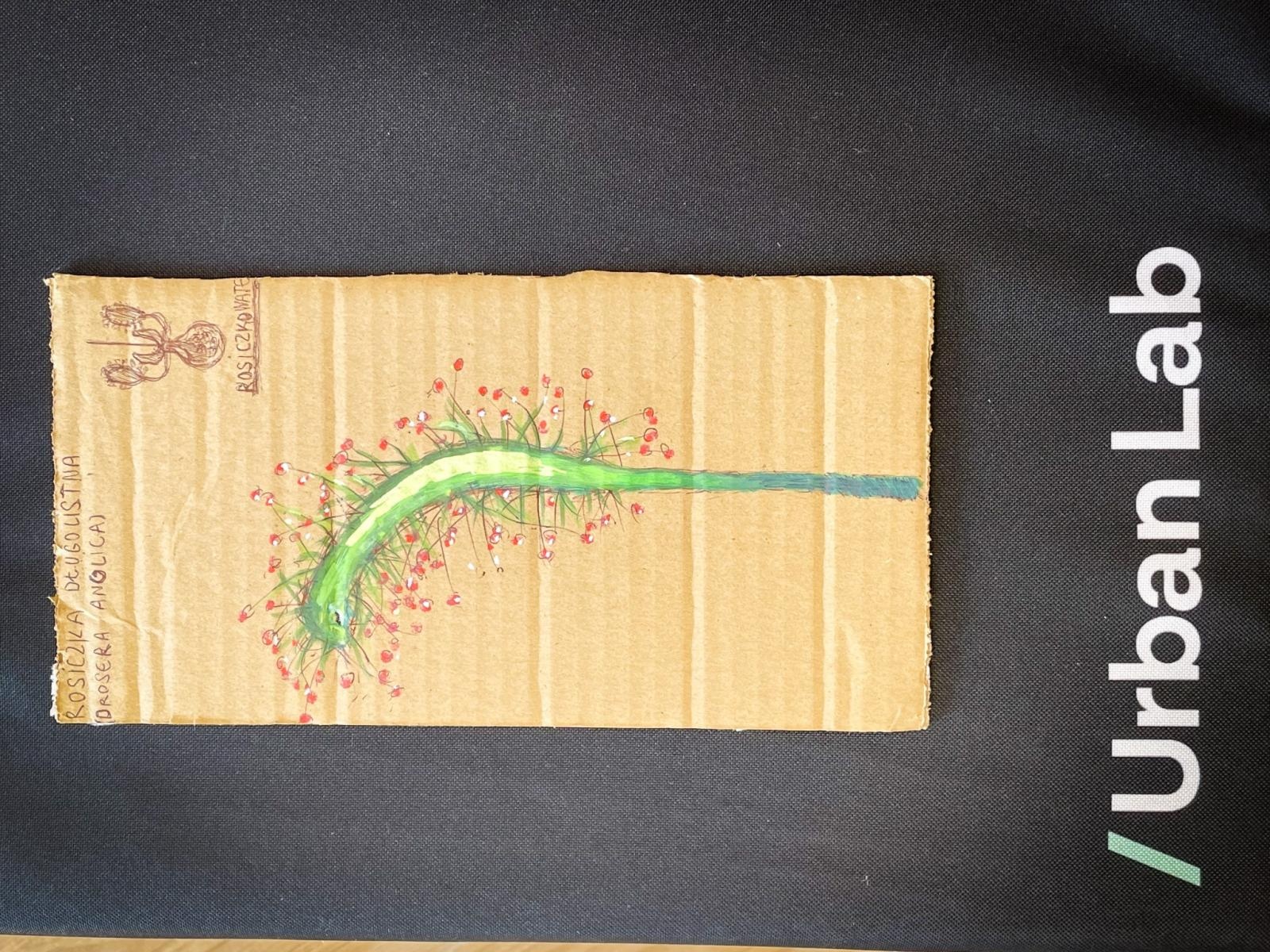 Zdjęcie w galerii na portalu naszraciborz.pl: Dzieci odkrywały kolory i kształty roślin w Urban Labie wiadomości z regionu