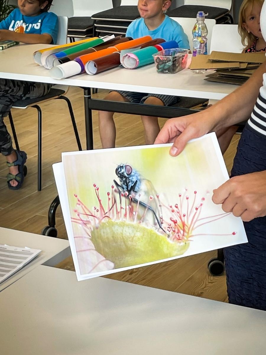 Zdjęcie w galerii na portalu naszraciborz.pl: Dzieci odkrywały kolory i kształty roślin w Urban Labie wiadomości z regionu