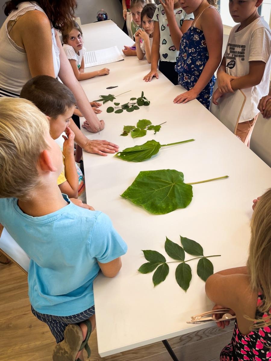 Zdjęcie w galerii na portalu naszraciborz.pl: Dzieci odkrywały kolory i kształty roślin w Urban Labie wiadomości z regionu