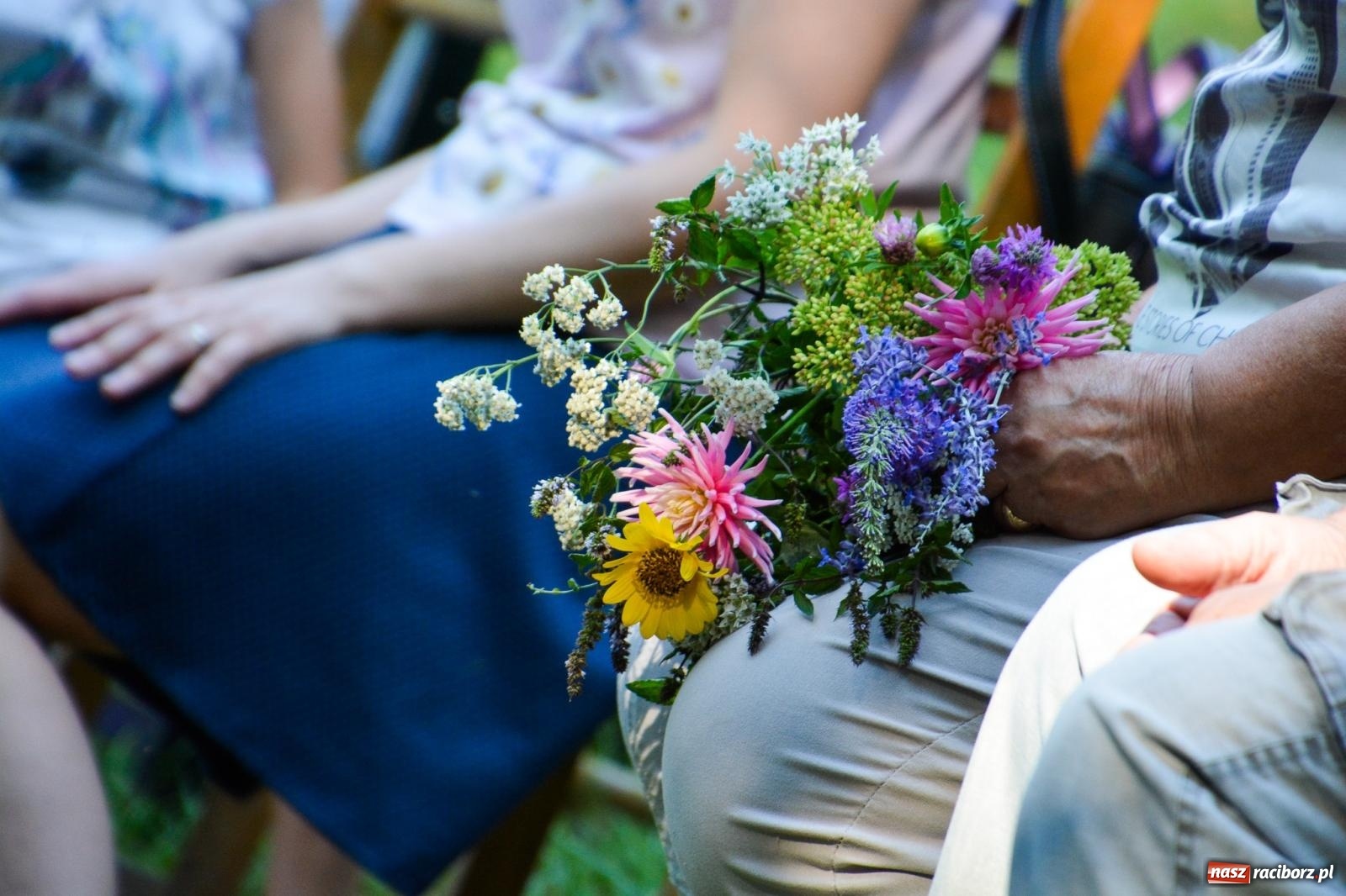 Zdjęcie w galerii na portalu naszraciborz.pl: Arboretum Bramy Morawskiej: Msza polowa z okazji Wniebowzięcia NMP i Święta Wojska Polskiego oraz koncert  wiadomości z regionu