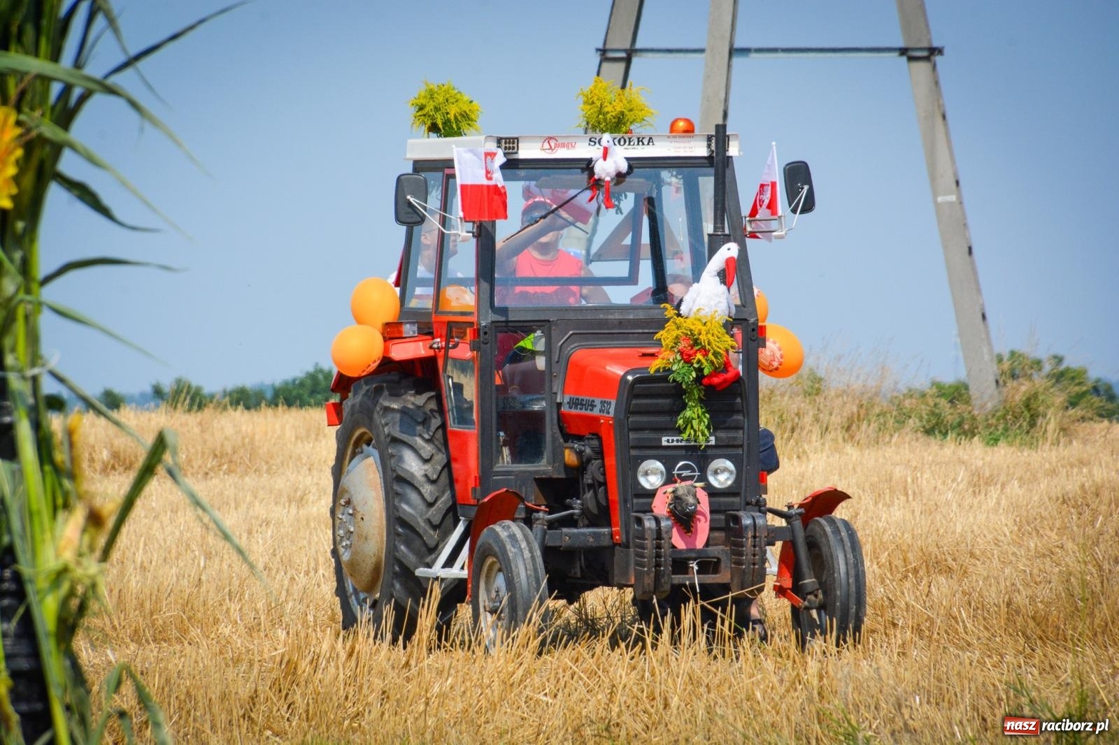 Zdjęcie w galerii na portalu naszraciborz.pl: Łańce rozpoczęły sezon dożynek w powiecie raciborskim [FOTO i WIDEO] wiadomości z regionu