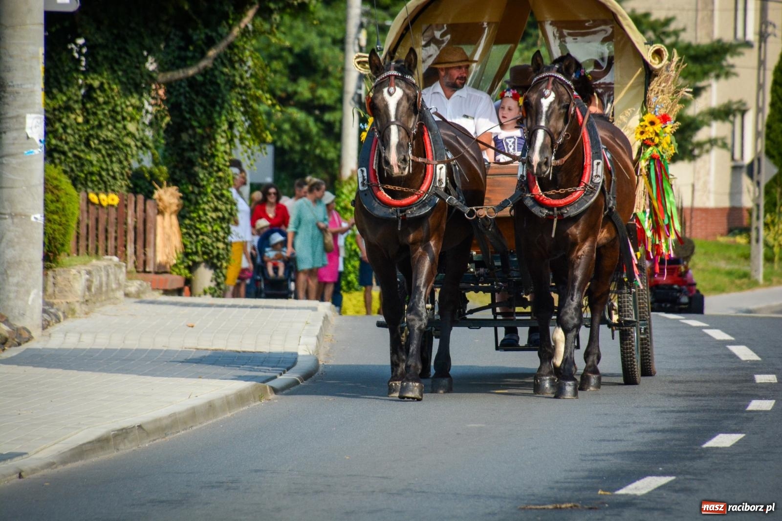 Zdjęcie w galerii na portalu naszraciborz.pl: Dożynki w Cyprzanowie rozpoczęły sezon świętowania plonów w gminie Pietrowice Wielkie wiadomości z regionu