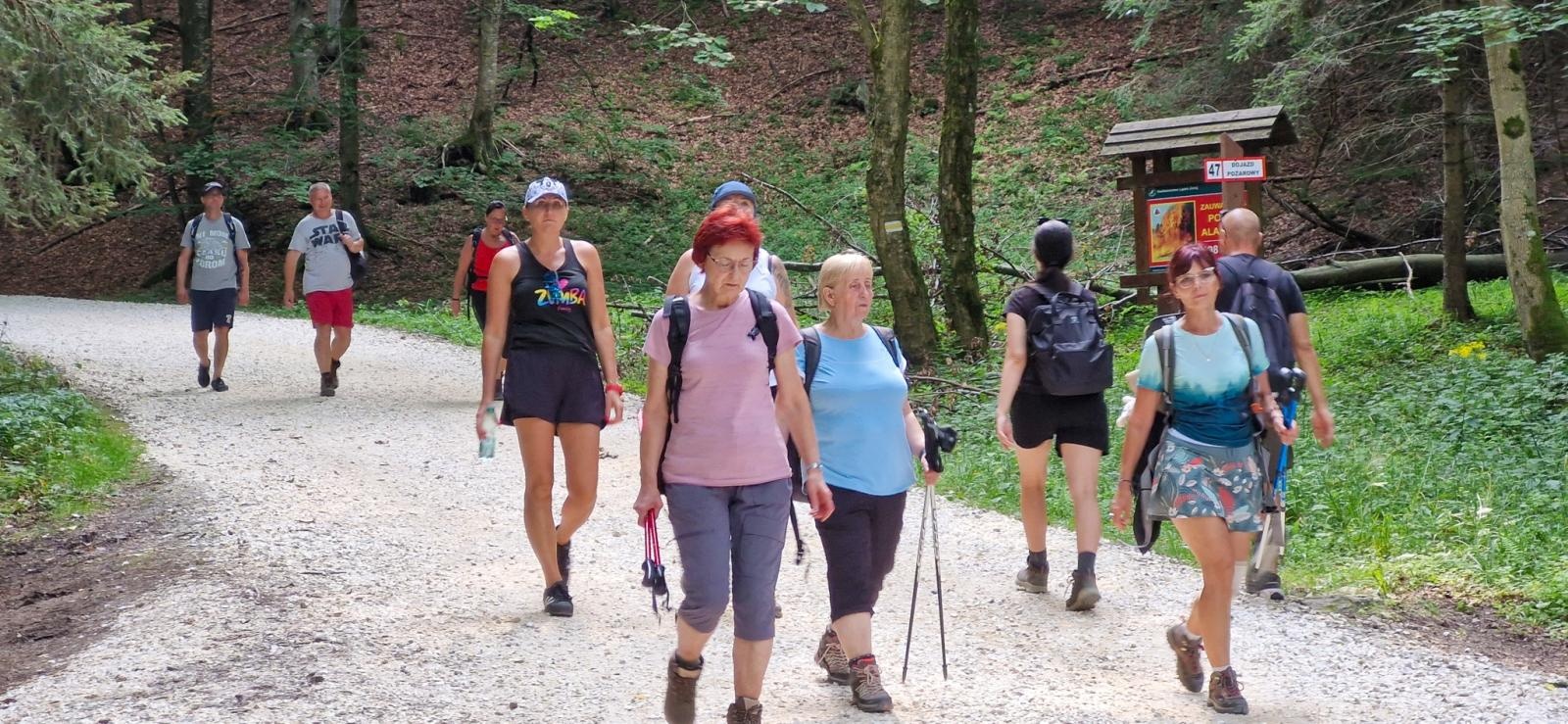 Zdjęcie w galerii na portalu naszraciborz.pl: Raciborzanie zdobyli Śnieżnik w ramach górskiej wyprawy PTTK wiadomości z regionu