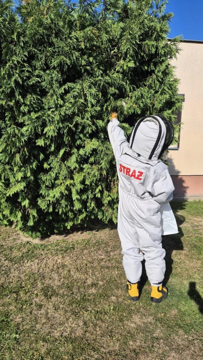 Zdjęcie w galerii na portalu naszraciborz.pl: Gniazda owadów i sprzątanie po kolizji. Niedzielne interwencje strażaków wiadomości z regionu