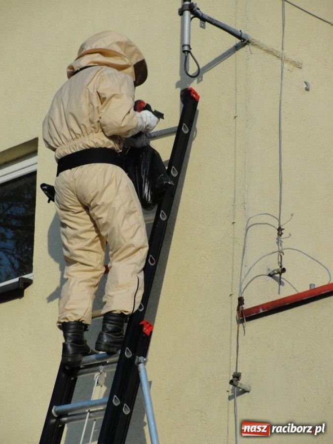 Zdjęcie w galerii na portalu naszraciborz.pl: Powrót do strażackiej tradycji wiadomości z regionu