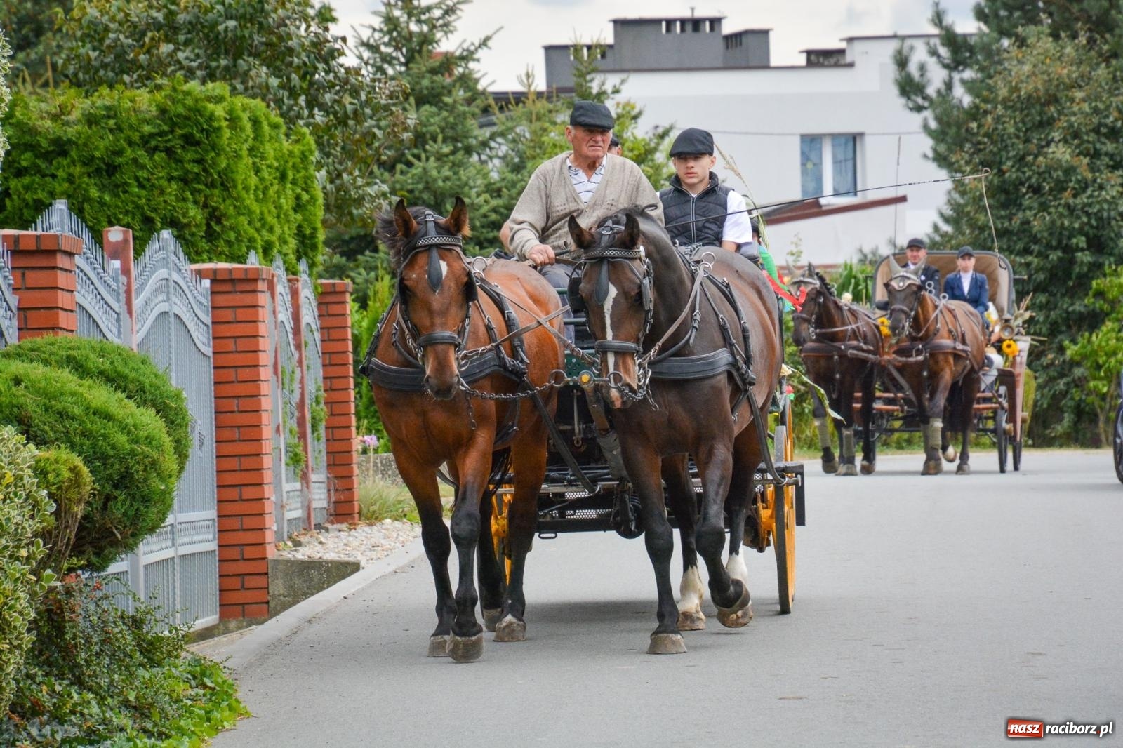 Zdjęcie w galerii na portalu naszraciborz.pl: Dożynki w Żerdzinach z debiutami i tradycją – święto plonów z nowym proboszczem i książką o wsi [FOTO i WIDEO] wiadomości z regionu