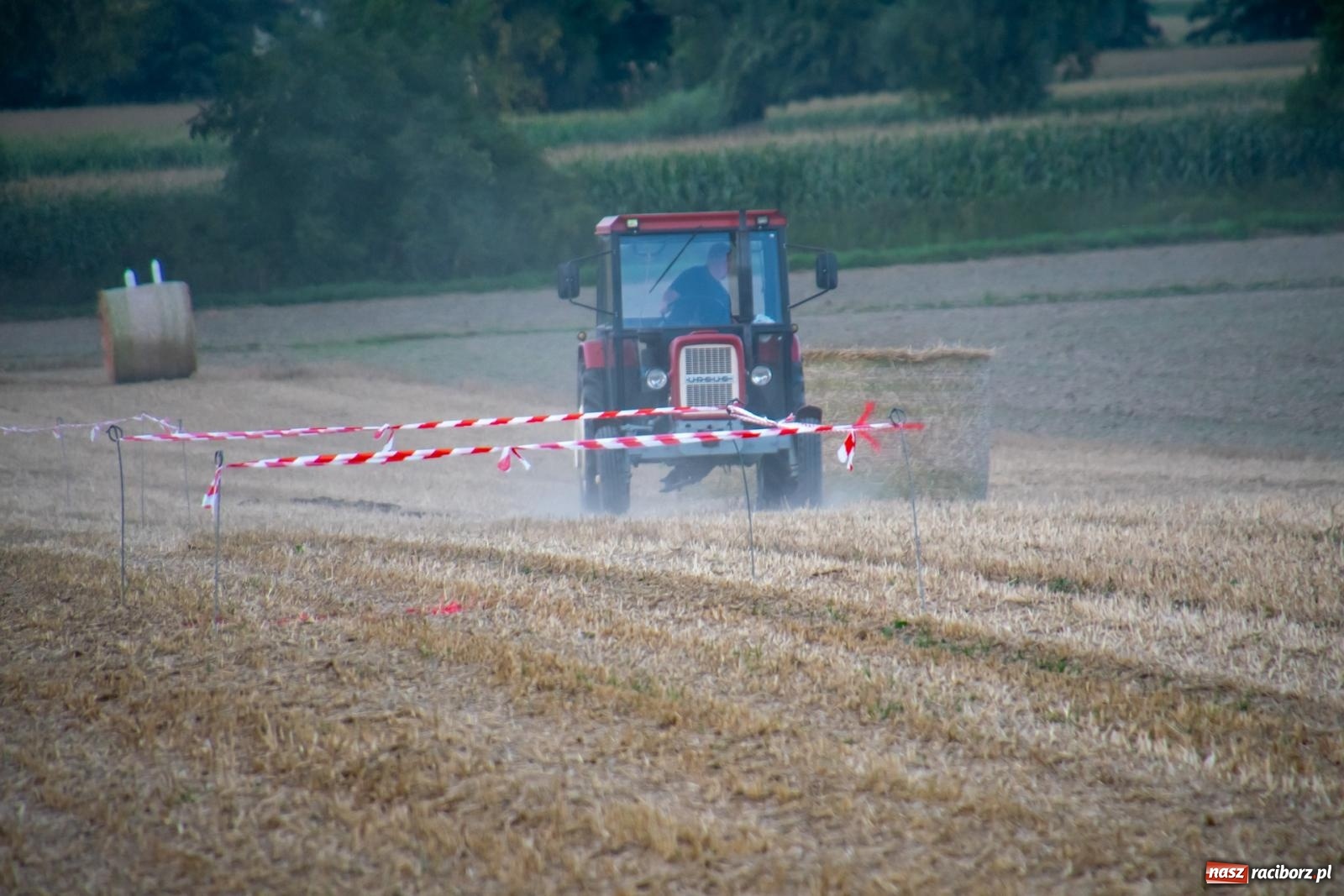 Zdjęcie w galerii na portalu naszraciborz.pl: Zmagania rolniczych potworów, czyli trzydziestki kontra sześćdziesiątki w Bolesławiu [FOTO i WIDEO] wiadomości z regionu