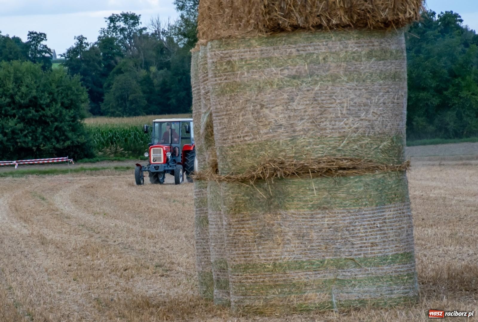 Zdjęcie w galerii na portalu naszraciborz.pl: Zmagania rolniczych potworów, czyli trzydziestki kontra sześćdziesiątki w Bolesławiu [FOTO i WIDEO] wiadomości z regionu