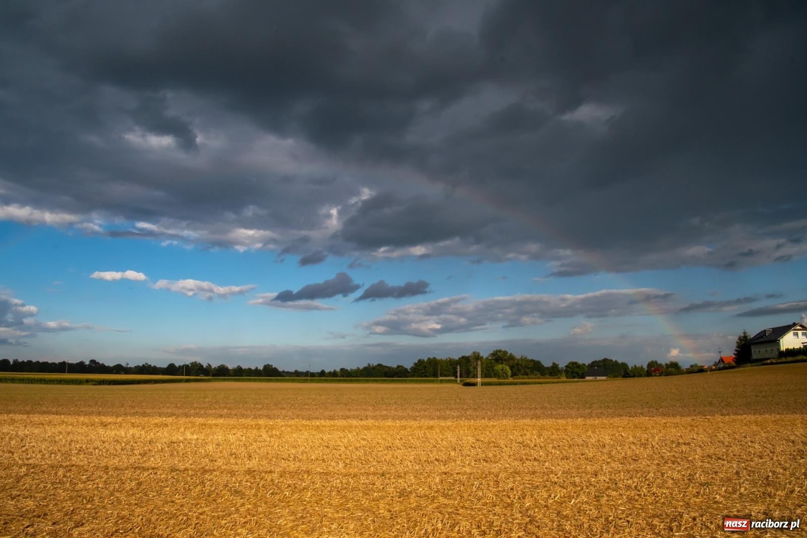 Zdjęcie w galerii na portalu naszraciborz.pl: Zmagania rolniczych potworów, czyli trzydziestki kontra sześćdziesiątki w Bolesławiu [FOTO i WIDEO] wiadomości z regionu