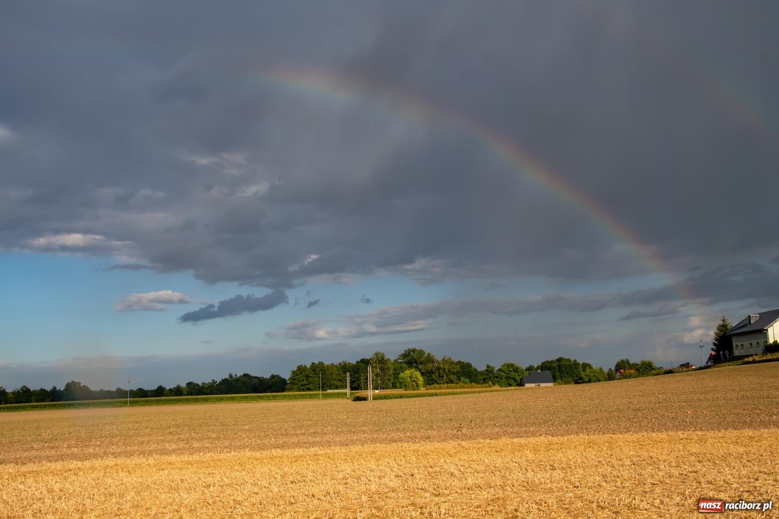 Zdjęcie w galerii na portalu naszraciborz.pl: Zmagania rolniczych potworów, czyli trzydziestki kontra sześćdziesiątki w Bolesławiu [FOTO i WIDEO] wiadomości z regionu