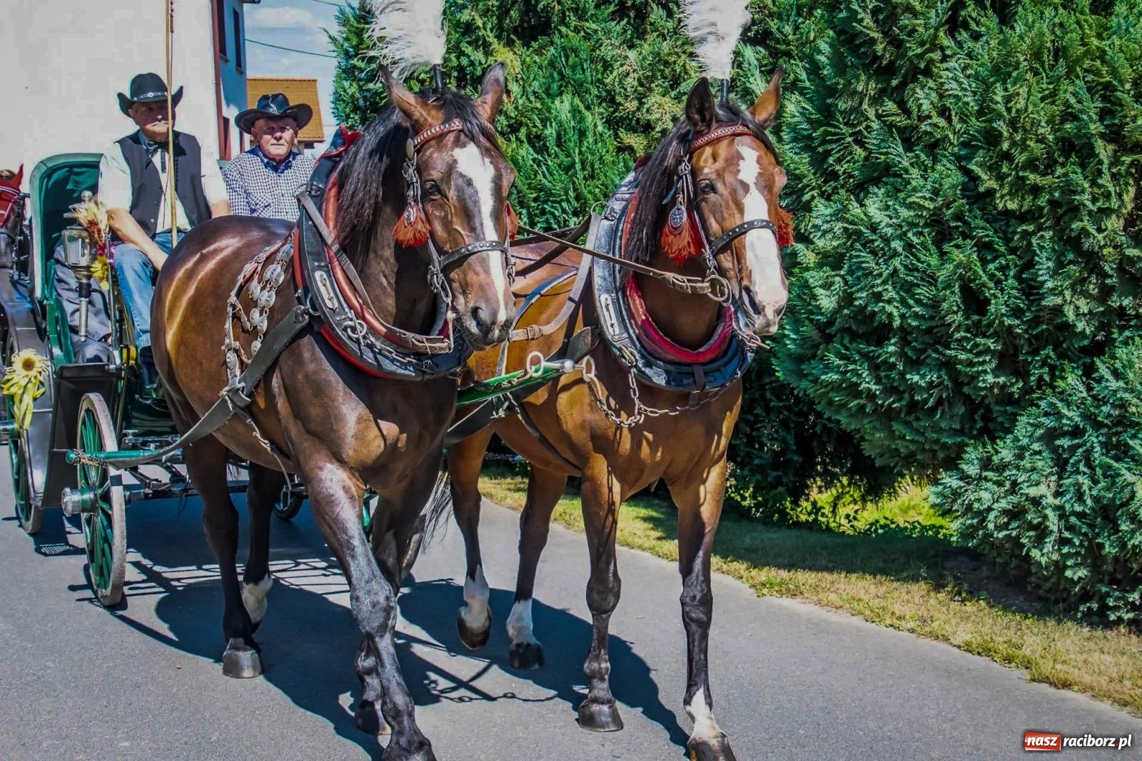 Zdjęcie w galerii na portalu naszraciborz.pl: Roszków. Kowboje, pszczółki i śnieżynki zajechali na dożynki wiadomości z regionu