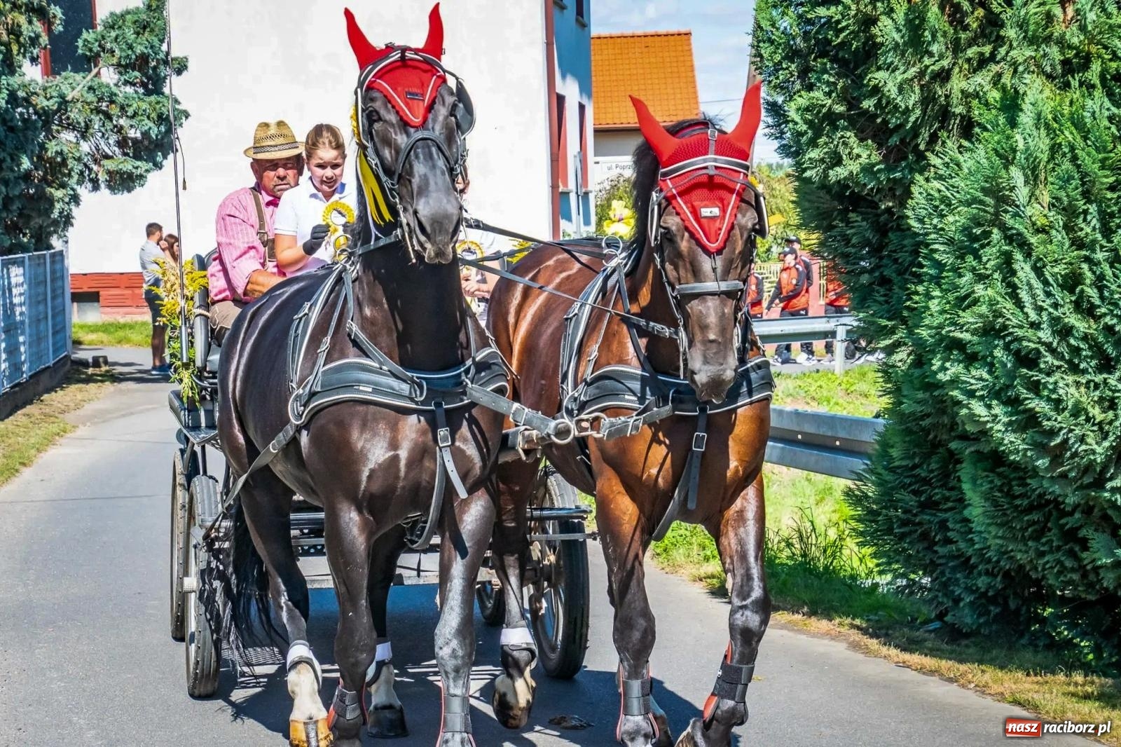Zdjęcie w galerii na portalu naszraciborz.pl: Roszków. Kowboje, pszczółki i śnieżynki zajechali na dożynki wiadomości z regionu