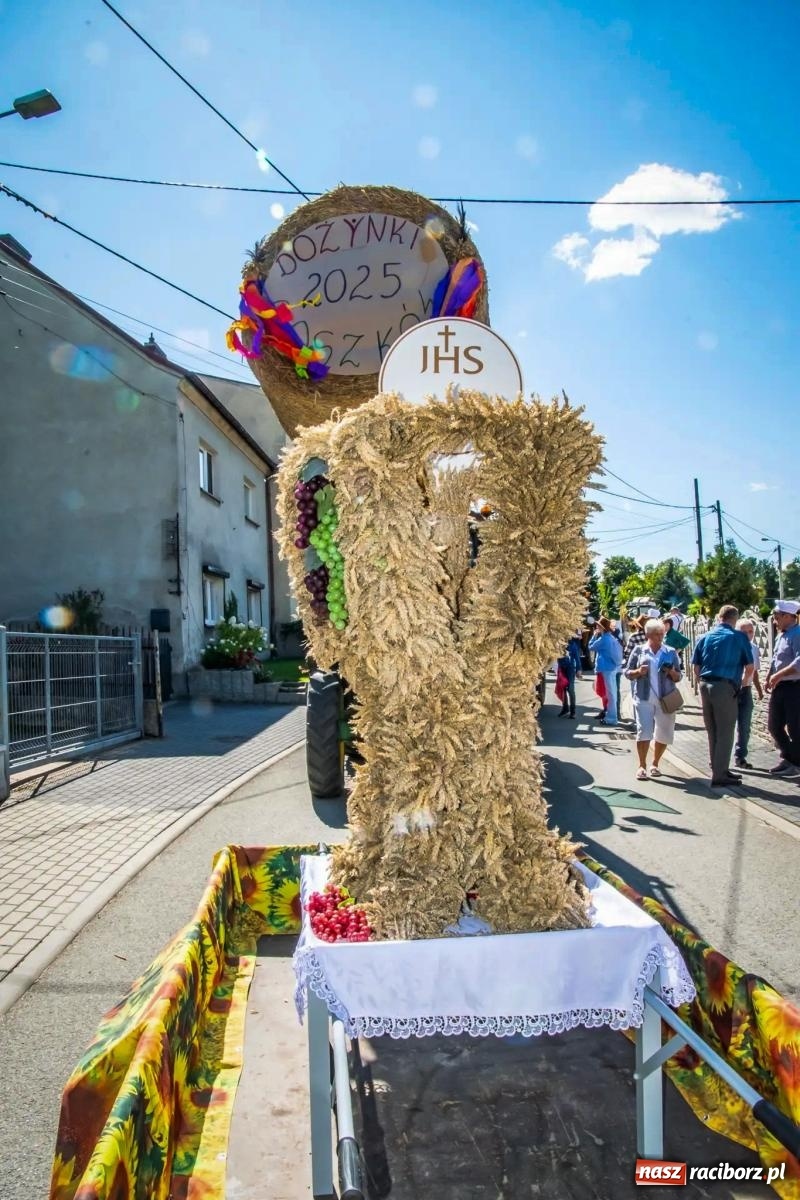 Zdjęcie w galerii na portalu naszraciborz.pl: Roszków. Kowboje, pszczółki i śnieżynki zajechali na dożynki wiadomości z regionu